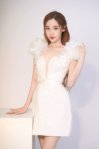 Aurora Classic Dress