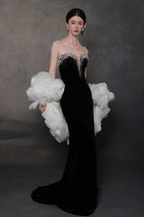 Daniel Gown