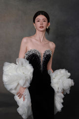 Daniel Gown