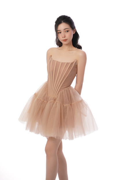Anna Corset Dress