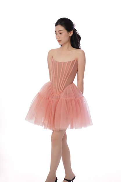 Anna Corset Dress