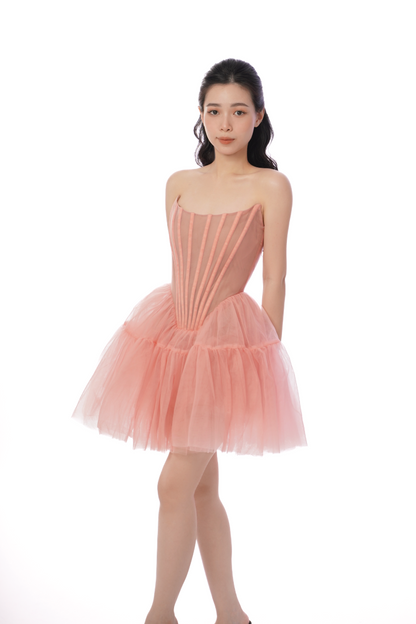 Anna Corset Dress