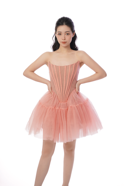 Anna Corset Dress